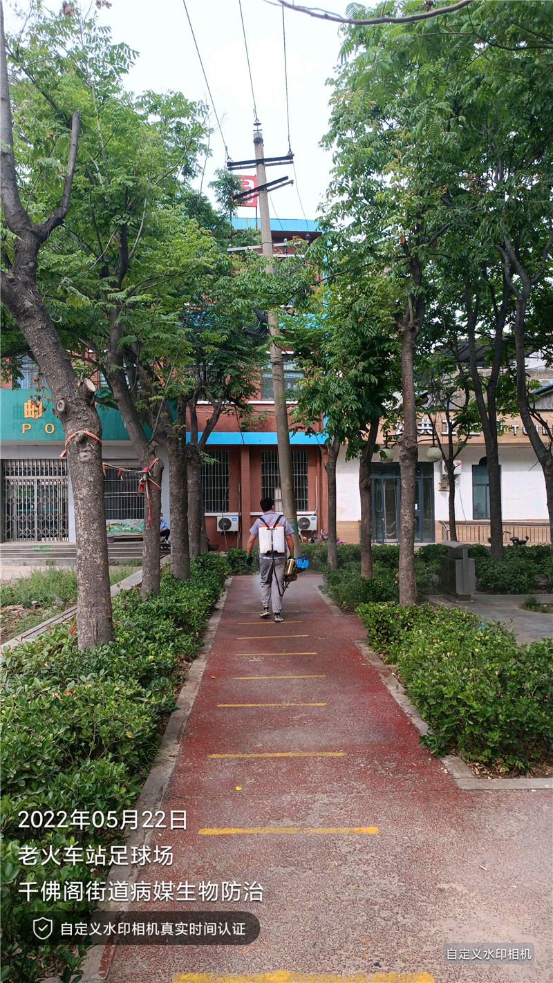 足球場消殺服務
